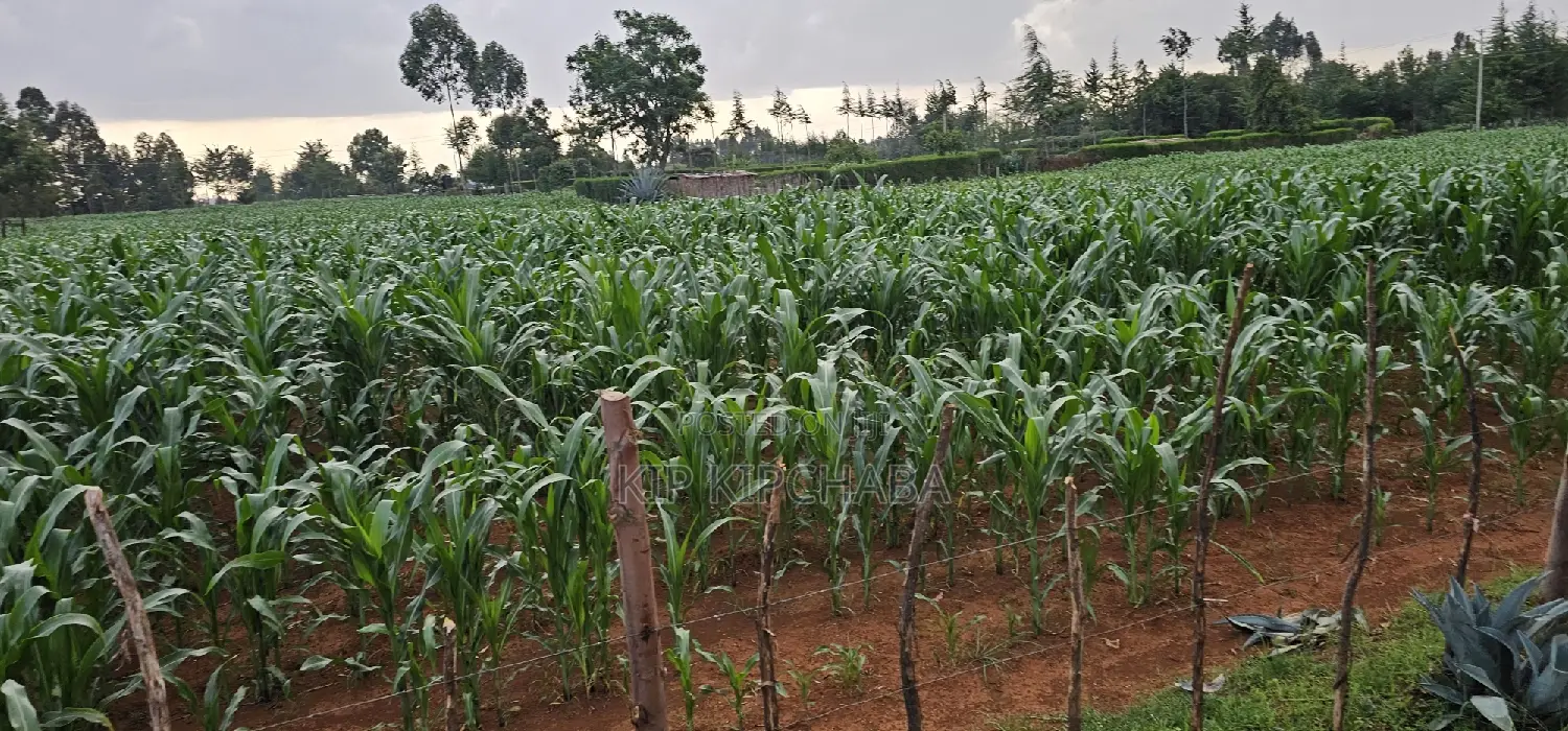 1 Acre For Sale In Sogomo Kapndani In Eldoret Kwa DL