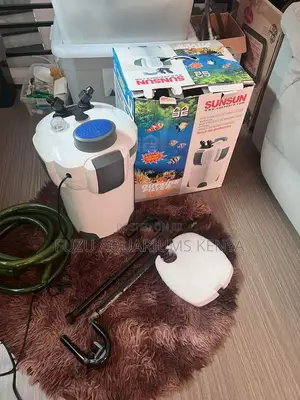Canister Filter Pump External Pump