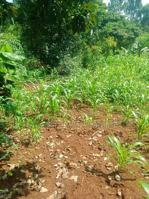 Quarter an Acre on Sale at Kenol - thumbnail 5