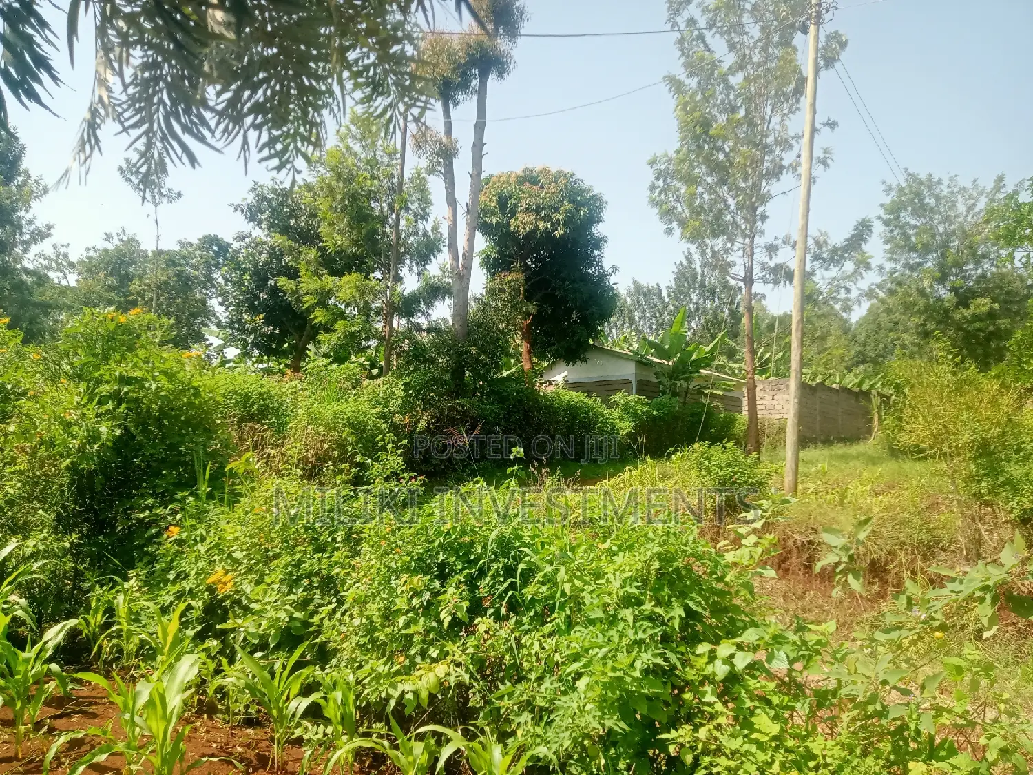 Quarter an Acre on Sale at Kenol