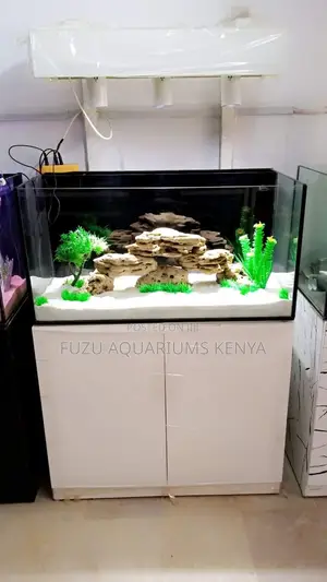 Rimless White Aquarium Beautiful