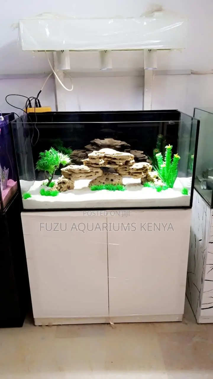Rimless White Aquarium Beautiful