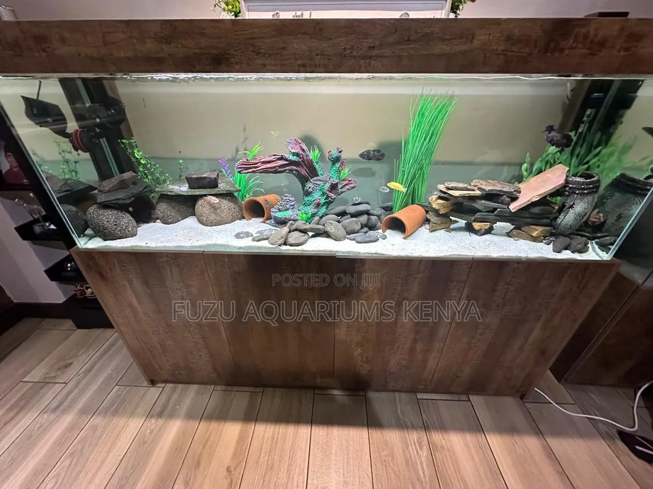 Vastu Shastra Aquarium