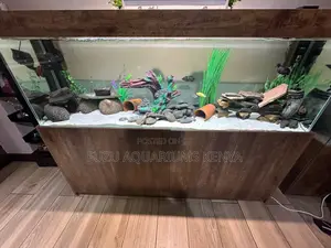 Vastu Shastra Aquarium