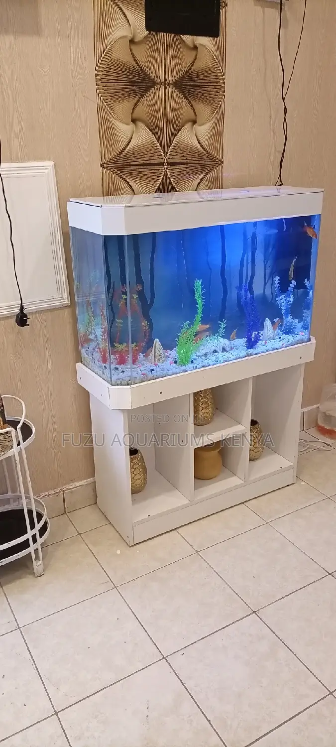 Vastu Shastra Fish Aquarium in Parklands/Highridge Fish, Fuzu