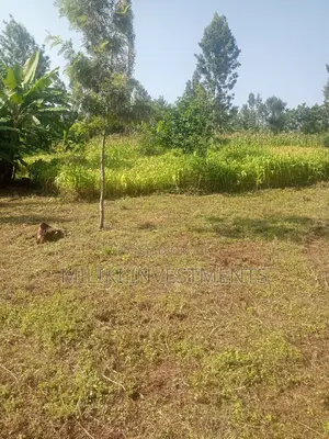 40 by 80 Plots on Sale at Kabati