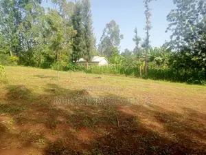 40 by 80 Plots on Sale at Kabati