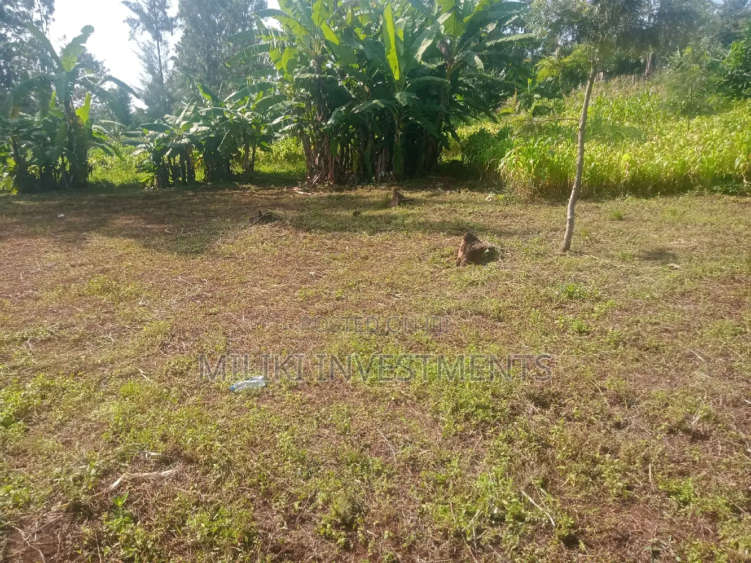 40 by 80 Plots on Sale at Kabati