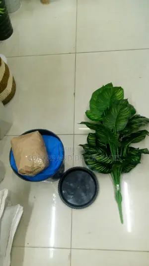Black Vase and Stripped Plant