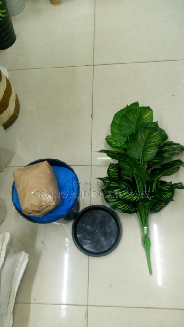Black Vase and Stripped Plant