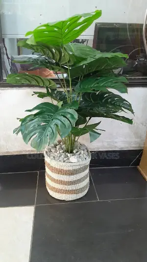 Plant Artificial, Basket and Pebble Stones Available
