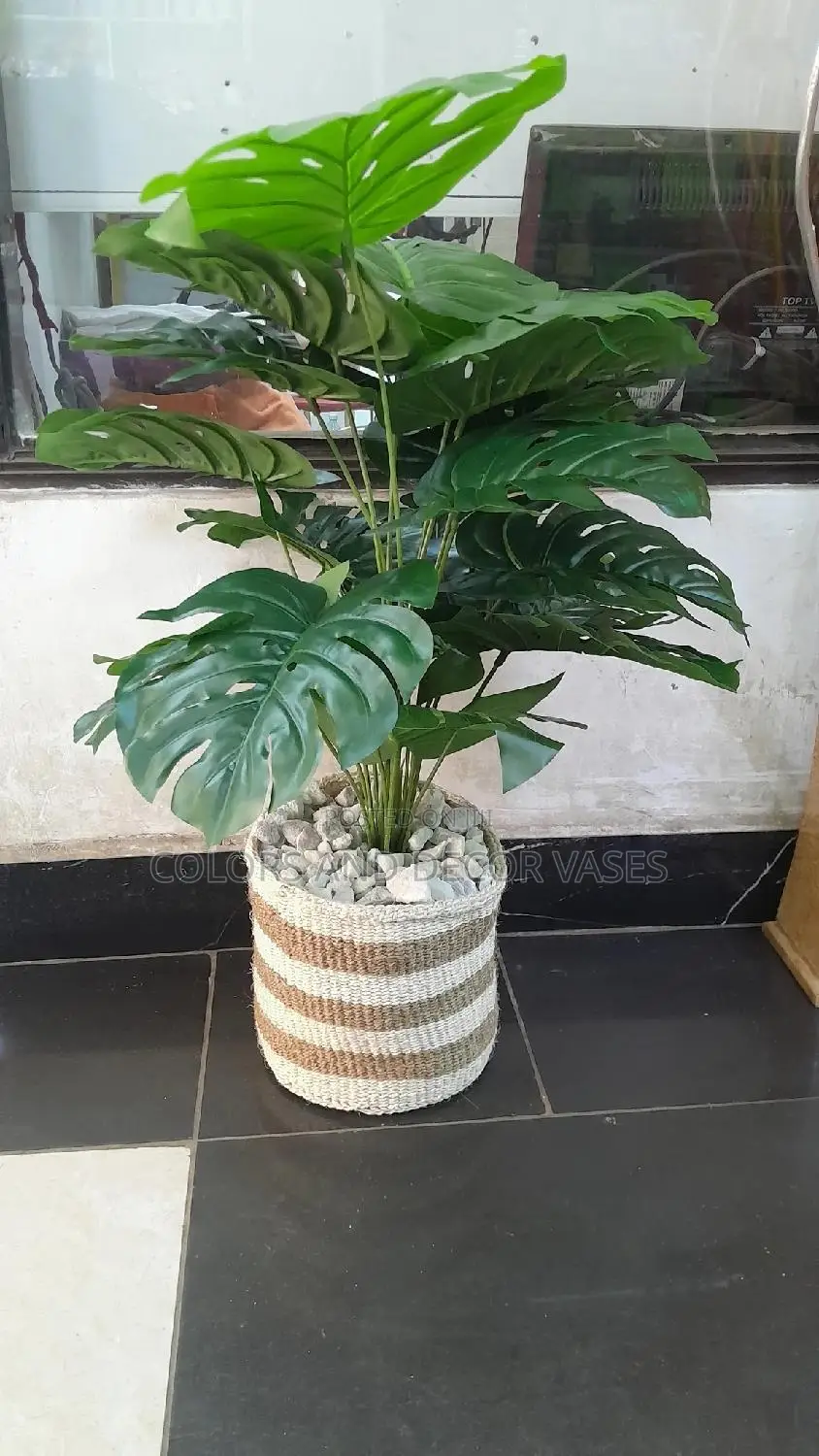Plant Artificial, Basket and Pebble Stones Available