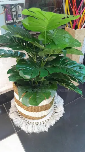 Basket, Mat and Artificial Plant