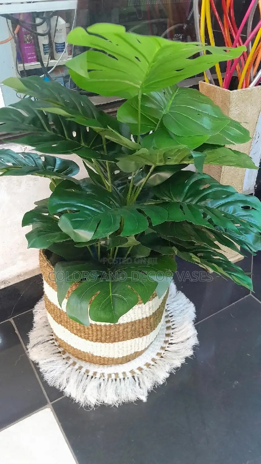 Basket, Mat and Artificial Plant