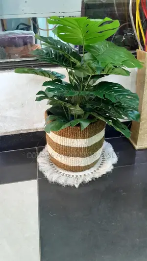Sisal Mat,Basket and Artificial Plant