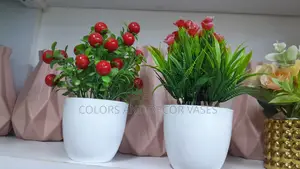 Bonsai Artificial Offer Price