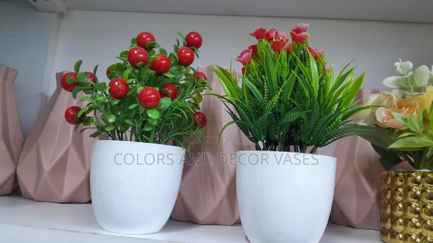 Bonsai Artificial Offer Price
