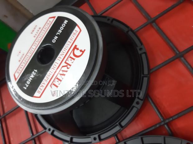 12inches Derwel Midbass Speakers