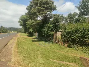 Nyeri, Marua/ Chaka Highway 1/2 Acres Touching Tarmac