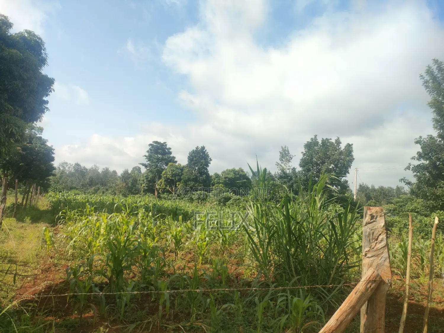 Nyeri, Marua/ Chaka Highway 1/2 Acres Touching Tarmac