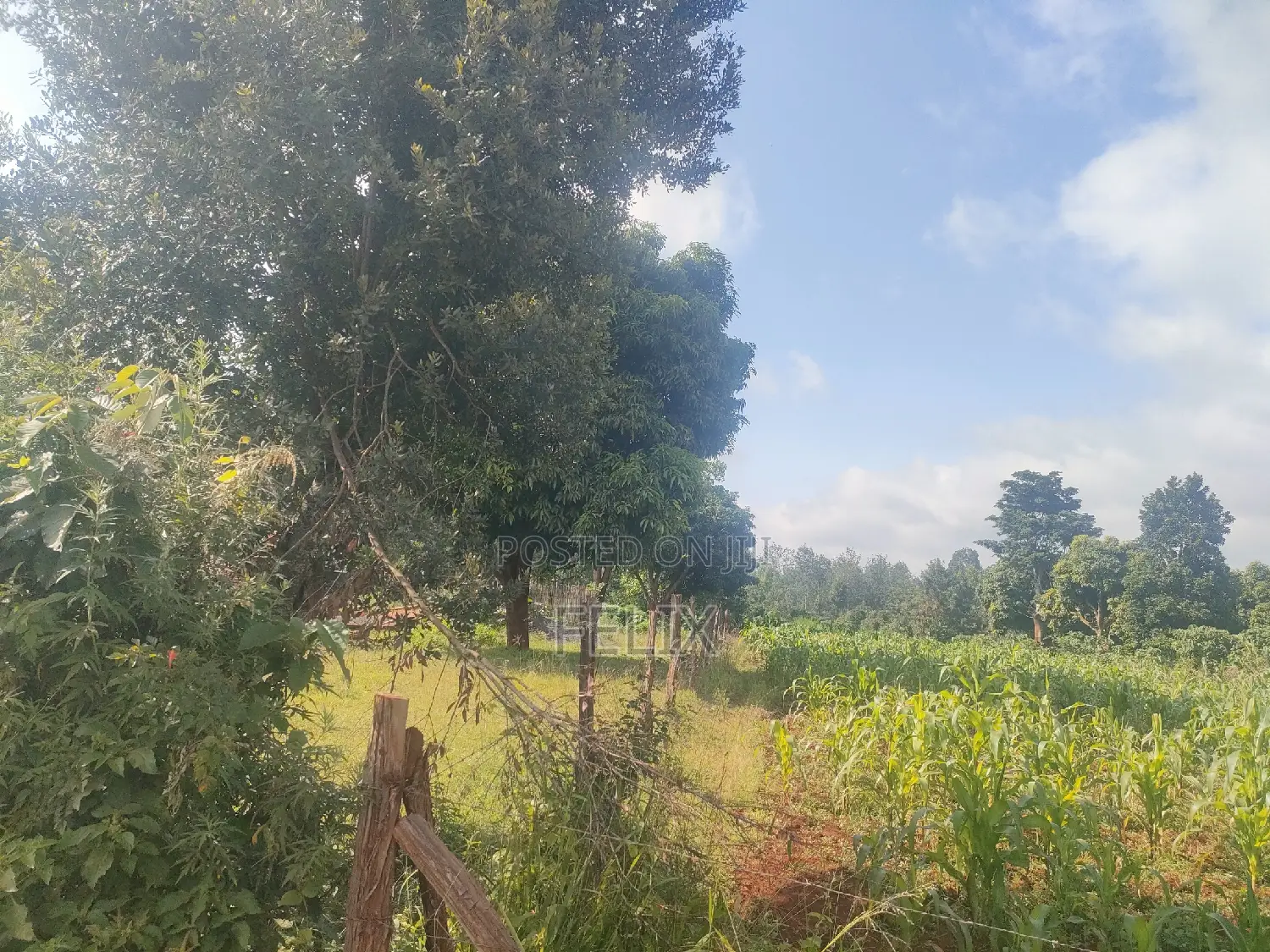 Nyeri, Marua/ Chaka Highway 1/2 Acres Touching Tarmac