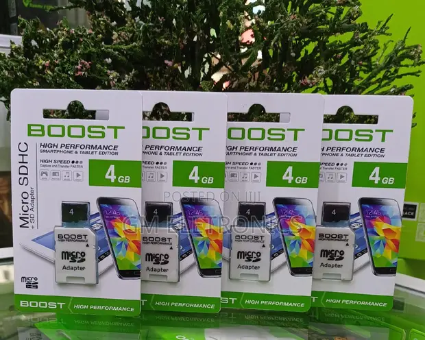 Boost 4GB Memory Card