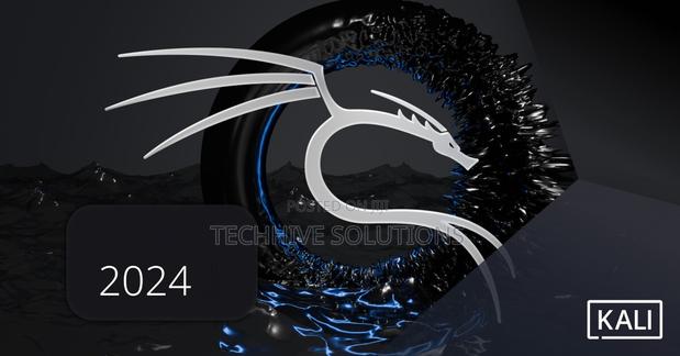 Kali Linux 2024 Installation (Install Alongside Windows) - main view