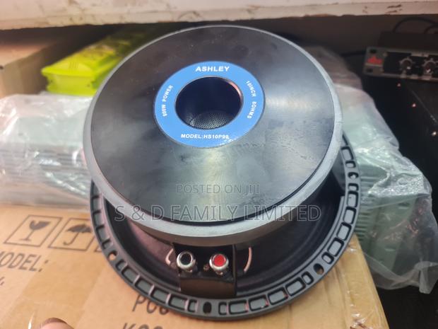 Ashley 10 Inch Naked Speaker