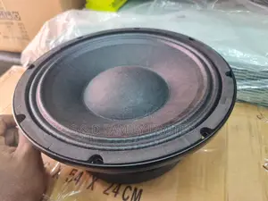 Ashley 10 Inch Naked Speaker