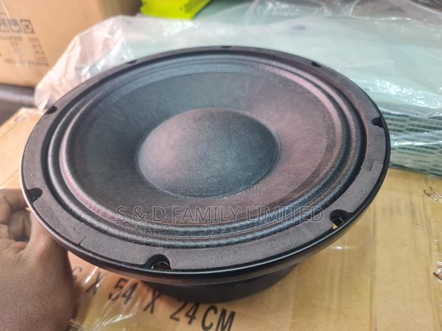 Ashley 10 Inch Naked Speaker - thumbnail 2