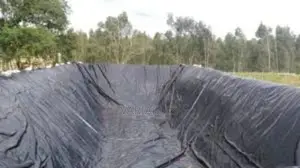 Dam Liners Support for the Floor Surfaces