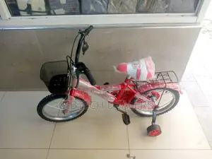 Lion King Size 16 Kid Bicycle