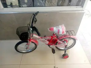 Lion King Size 16" Kid Bicycle