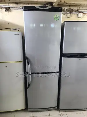 Bottom Freezer Fridge