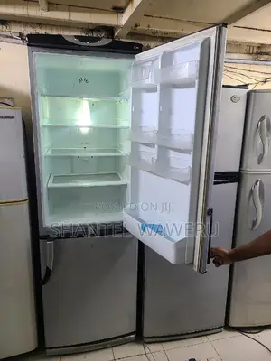 Bottom Freezer Fridge