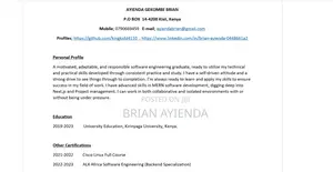 Software Engineer