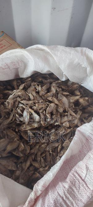 OMENA for Pets - main view