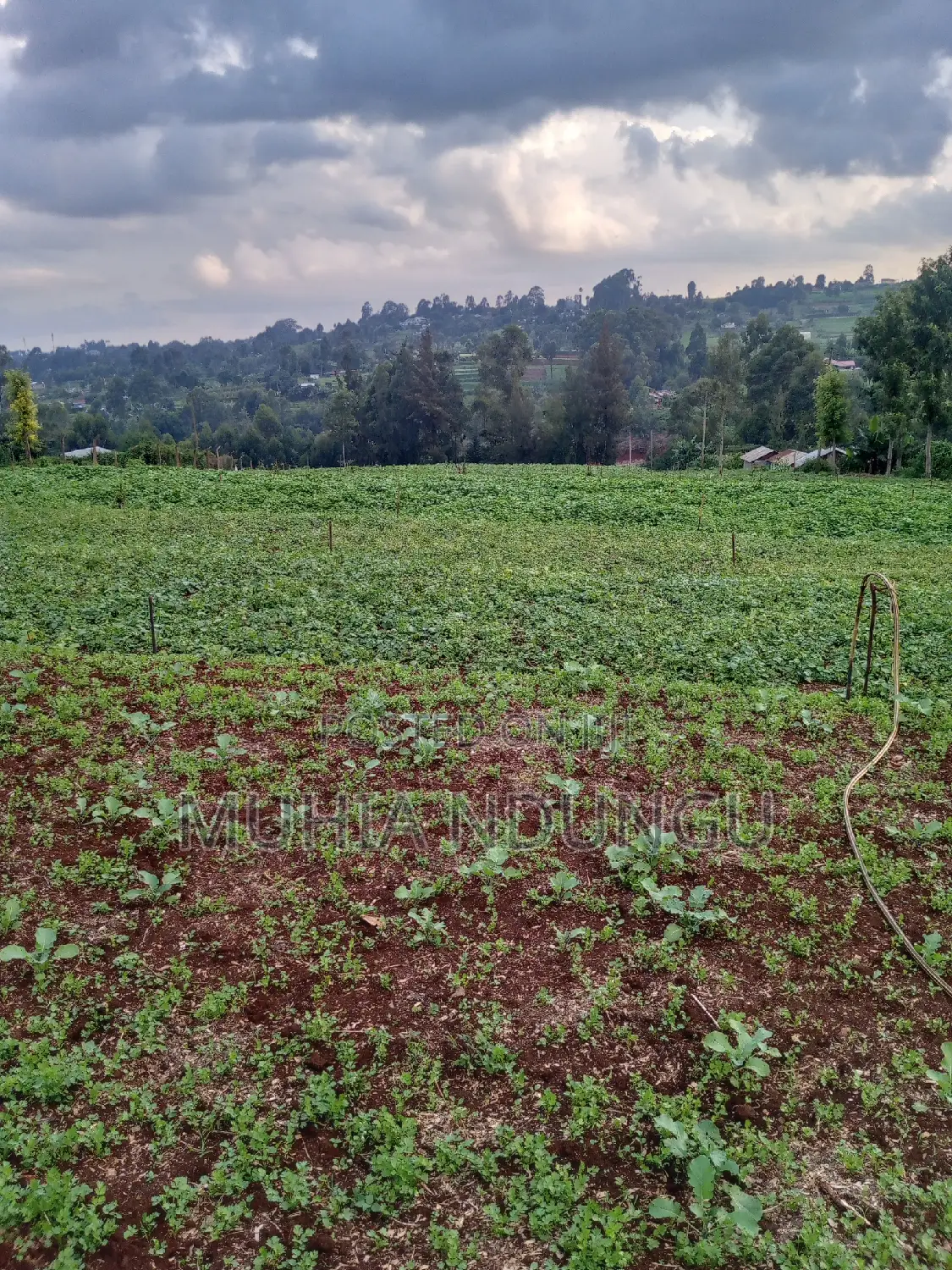 Lower Kabete - Nyathuna 3.25 Acres