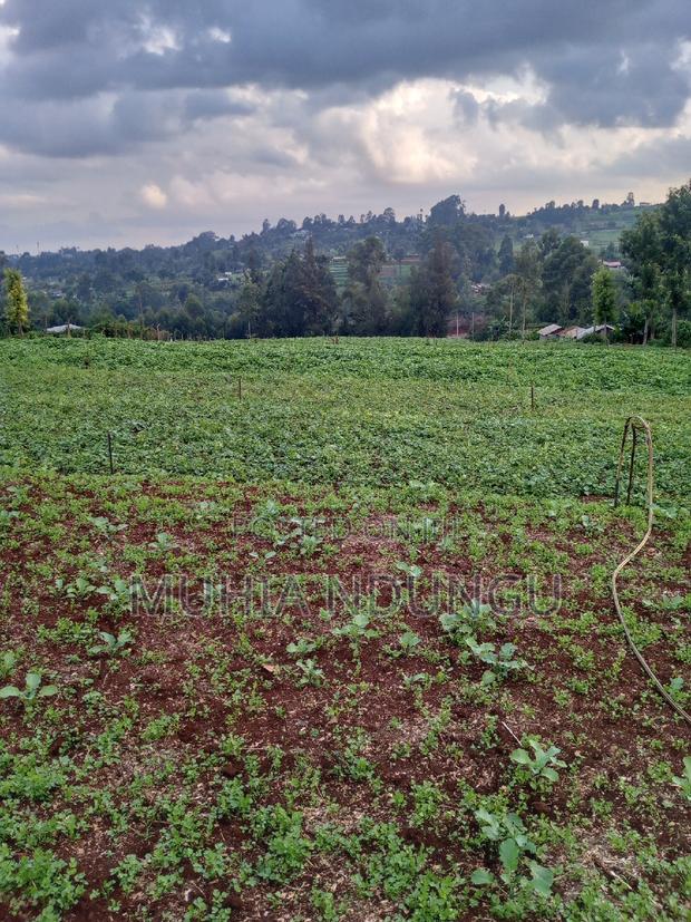 Lower Kabete - Nyathuna 3.25 Acres - main view