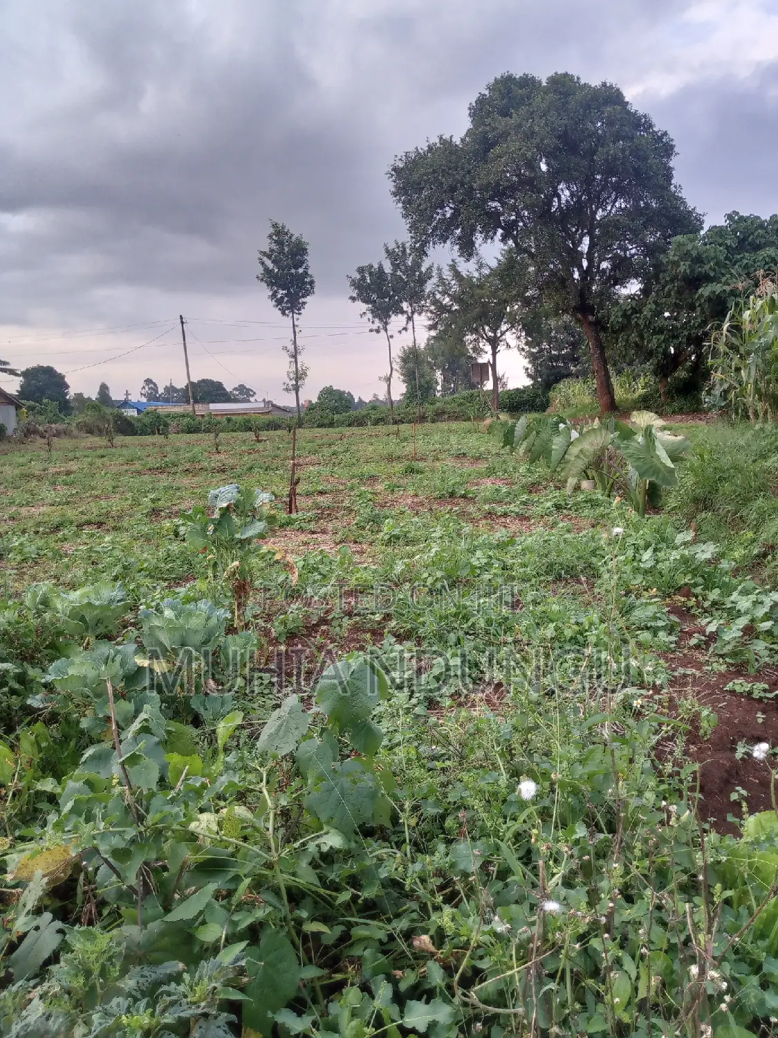 Lower Kabete - Nyathuna 3.25 Acres