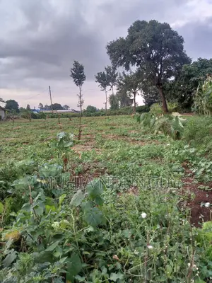 Lower Kabete - Nyathuna 3.25 Acres