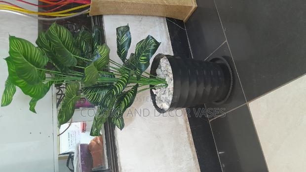 1.2m KSH 3,000 Vase,Plant,Stones - thumbnail 3