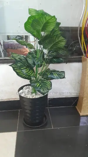 Vase and Plant With Pebble Stones