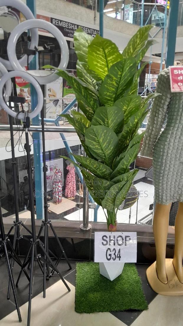 Long Plant With Vase and Pebble Stones on Offer