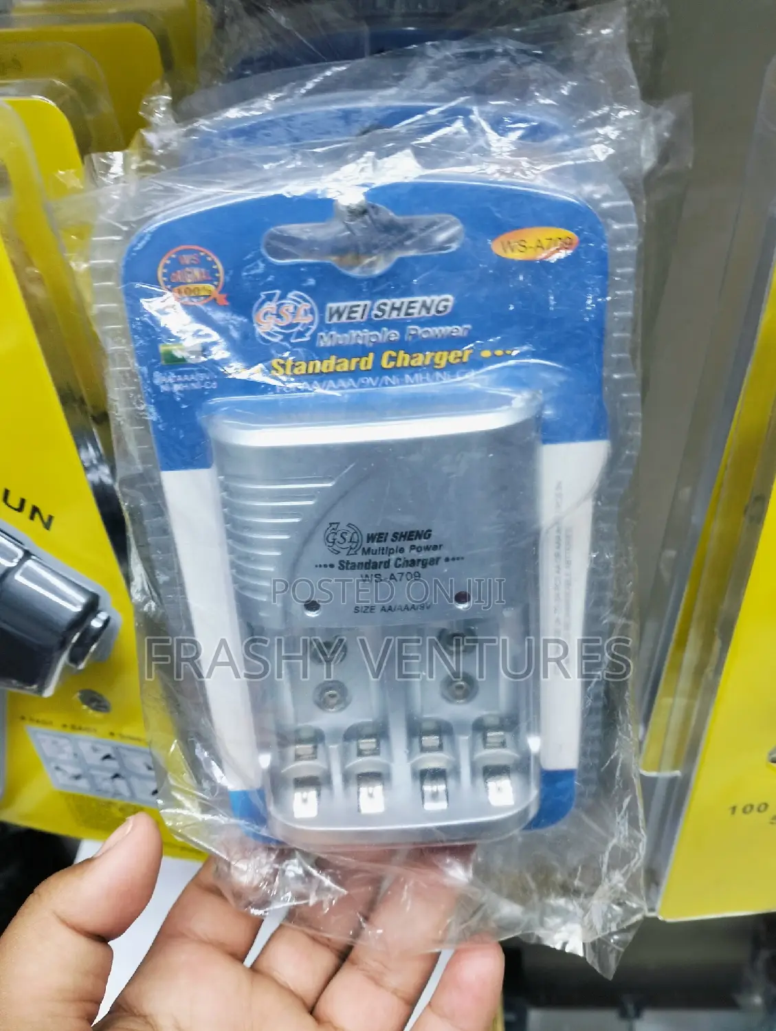 Multiple Power Standard Charger