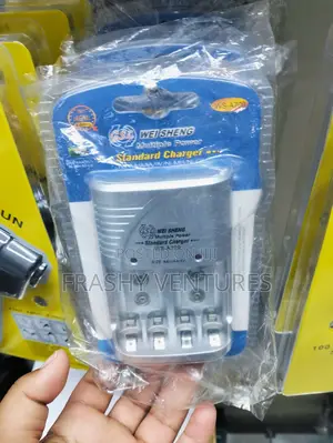 Multiple Power Standard Charger