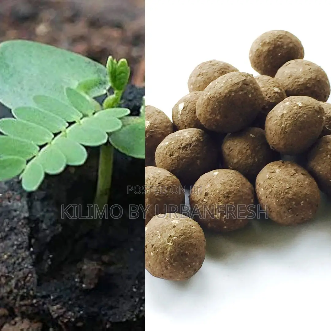 Tree Seedballs Assorted 1kg (Moq KSHS 3000)