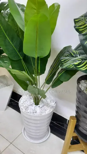 Banana 18leaves, Vase and Decorative Stones