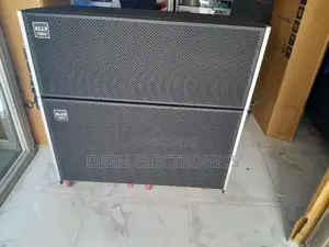 Line Arry Speaker