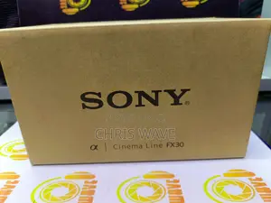 New Sony Cinema Line Fx30